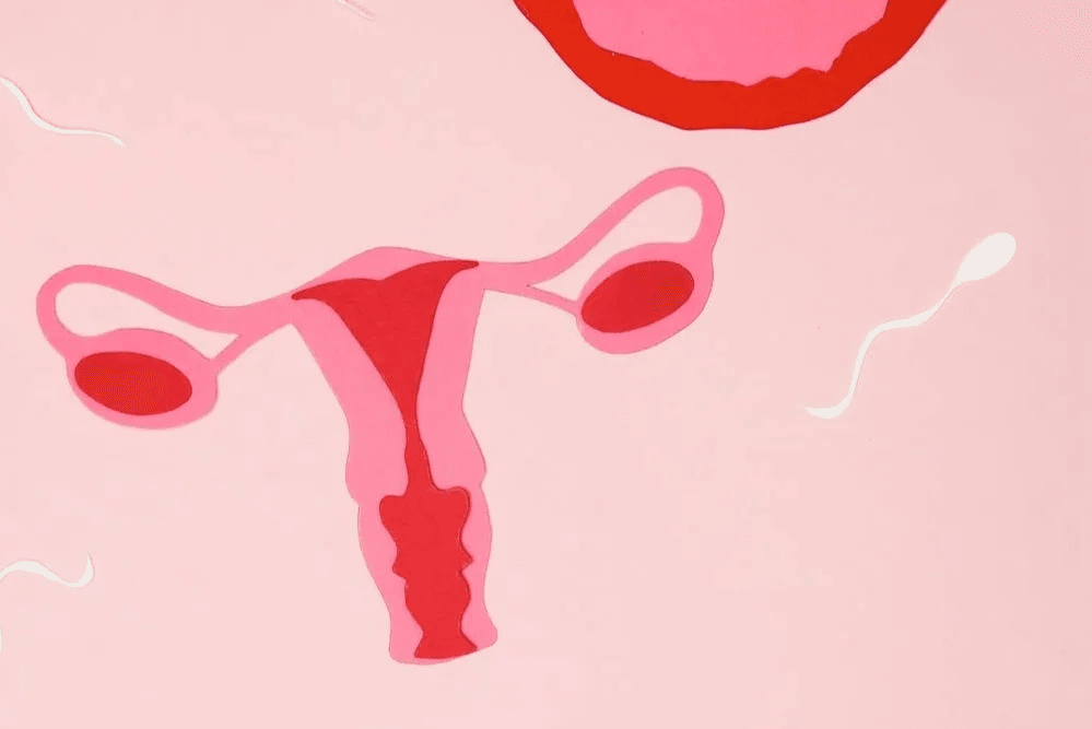 https://www.palanibalajifertilitycenter.in/uploaded_file/files/img/news/Everything You Should Know About Tubal Factor Infertility